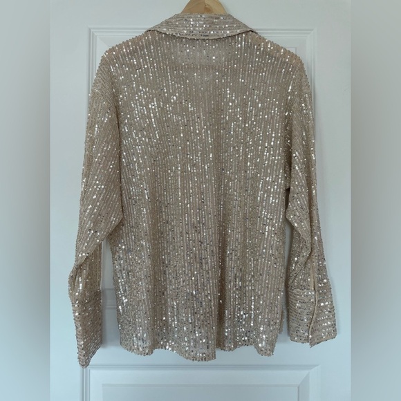 Abercrombie & Fitch Sequin Button Down Shirt, Gold/Champagne, small - Picture 2 of 7